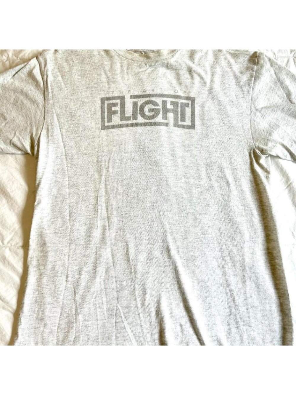 The Art Of Flight Quiksilver / Red Bull snowboard movie shirt